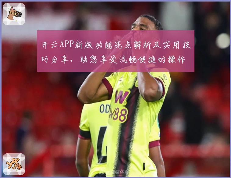 开云APP新版功能亮点解析及实用技巧分享，助您享受流畅便捷的操作体验